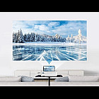 Máy chiếu mini VANKYO Leisure 470